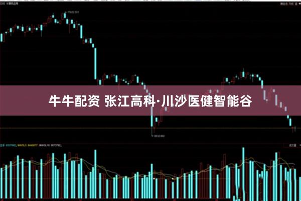 牛牛配资 张江高科·川沙医健智能谷