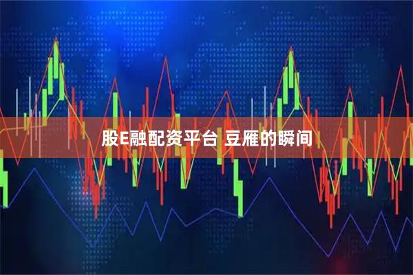 股E融配资平台 豆雁的瞬间