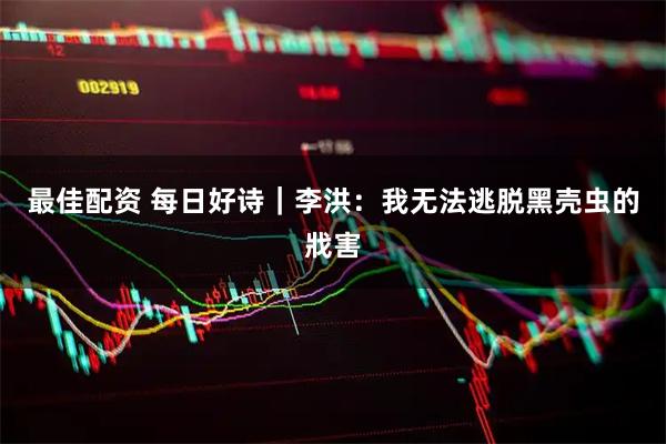 最佳配资 每日好诗｜李洪：我无法逃脱黑壳虫的戕害