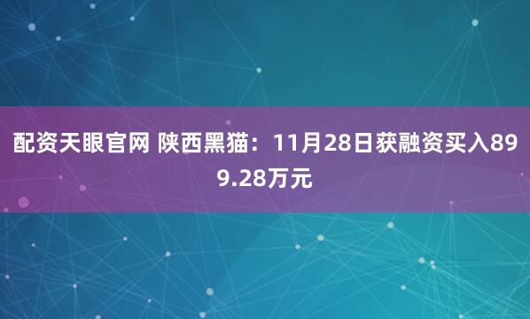配资天眼官网 陕西黑猫：11月28日获融资买入899.28万元