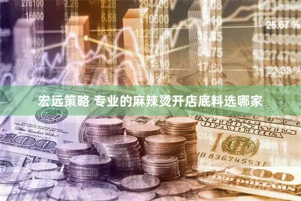 宏远策略 专业的麻辣烫开店底料选哪家