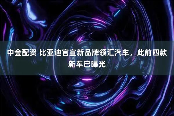 中金配资 比亚迪官宣新品牌领汇汽车，此前四款新车已曝光
